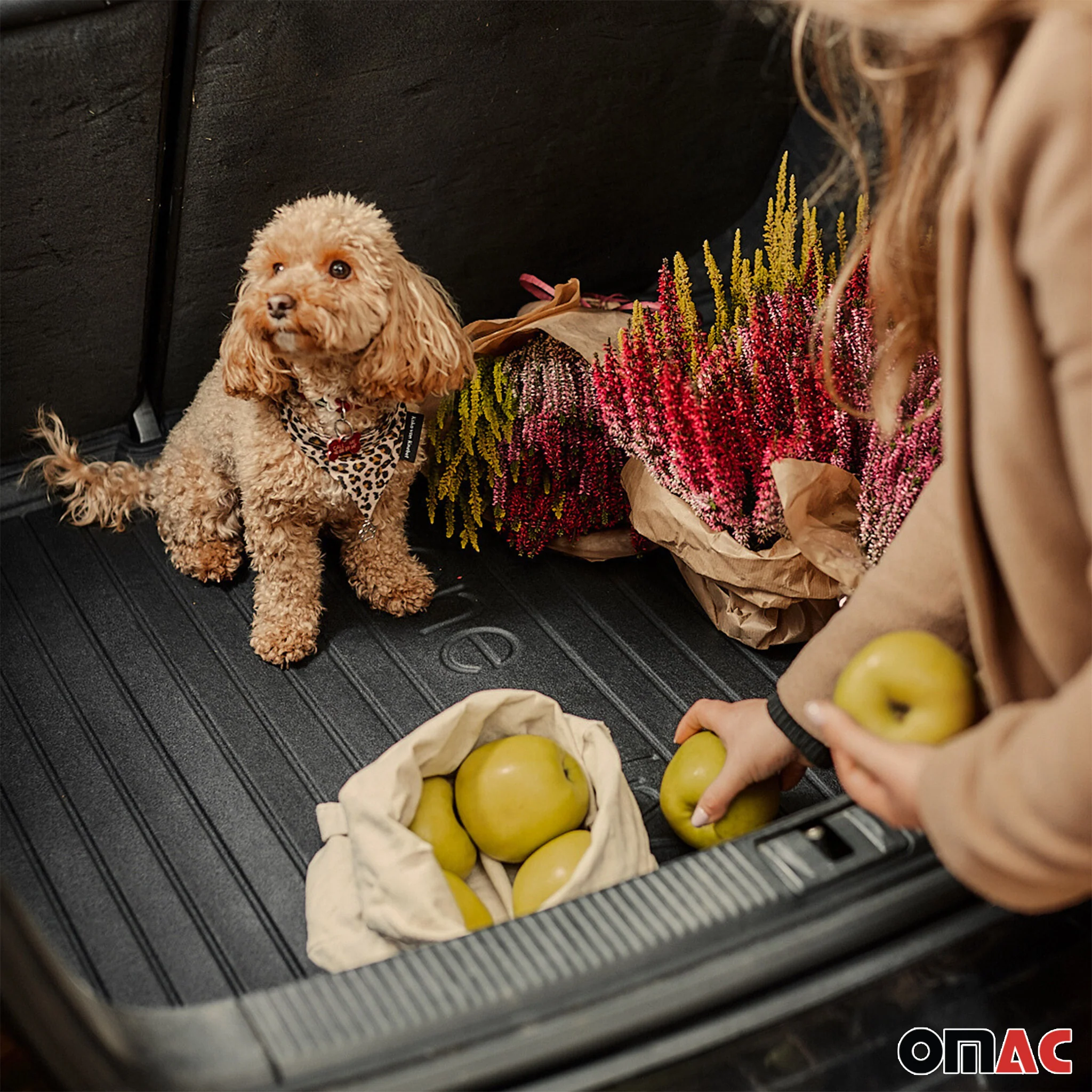 Miniature 6